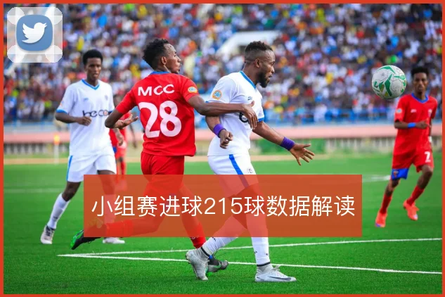 小组赛进球215球数据解读