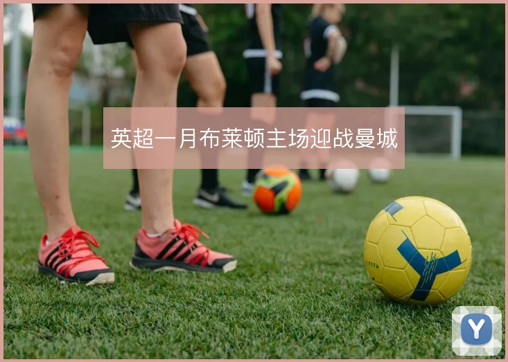 英超一月布莱顿主场迎战曼城
